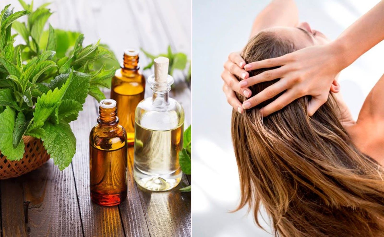 do herbal treatments for hair loss work 2